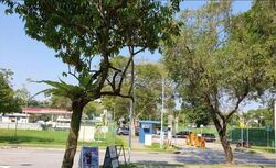 Sembawang Hills Estate (D20), Shop House #577684391